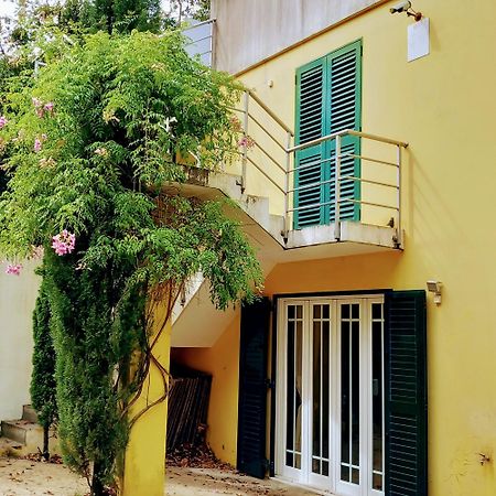 Casa Amarante Porto Villa Eksteriør bilde