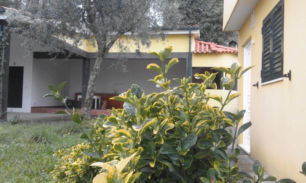 Casa Amarante Porto Villa Eksteriør bilde